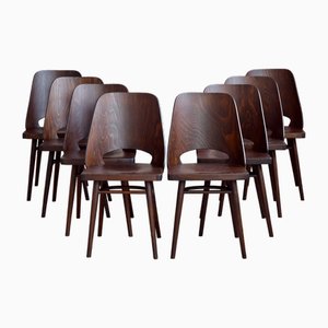 Sillas de comedor Mid-Century modernas de Radomir Hofman para Ton, años 50. Juego de 8