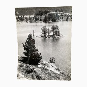 Bernard Darot, Au Bord du Lac, XXe Siècle, Tirage Gélatino-Argent