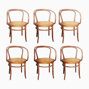 Set of Thonet Model 209 Armchairs by Michael Thonet, 1950s