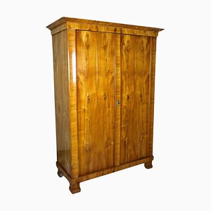 19th Century Biedermeier Cherrywood Cabinet, Austria, 1825