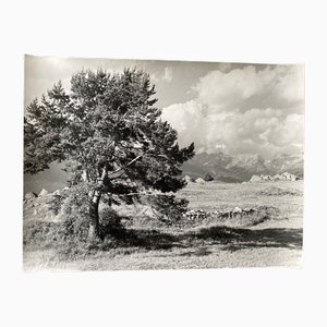 Bernard Darot, Muret, 20th Century, Silver Gelatin Print