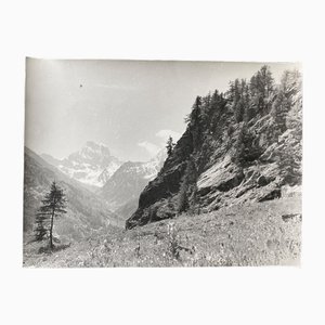 Bernard Darot, Printemps, 20th Century, Silver Gelatin Print