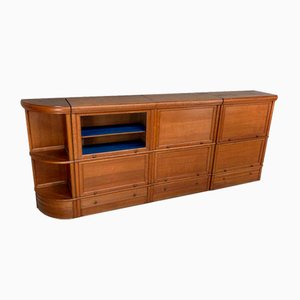 Vintage Storage Furniture Modules by Bibliothèque M.D., Paris, 1950s, Set of 4