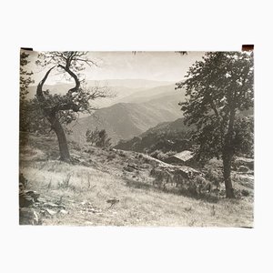 Bernard Darot, Bergerie de montagne, XXe siècle, Tirage gélatino-argentique
