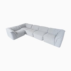 Mid-Century Modular Sofa by Tito Agnoli for Arflex, 1960s, Set of 5