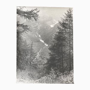Bernard Darot, Torrent dans la vallée, XXe siècle, Tirage gélatino-argentique