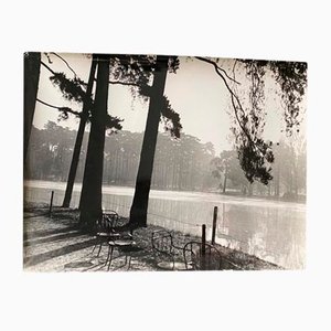 Bernard Darot, Photo Club Nantais: Matin No. 4, 20th Century, Silver Gelatin Print