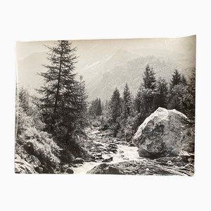 Bernard Darot, Photo Club Nantais: Torrent Le Ponturin, 20th Century, Silver Gelatin Print