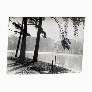 Bernard Darot, Photo-Club Nantais: Matin, 20th Century, Silver Gelatin Print