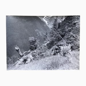 Bernard Darot, Printemps en montagne, 20th Century, Silver Gelatin Print