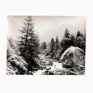 Bernard Darot, Torrent montagne sapins, 20th Century, Silver Gelatin Print