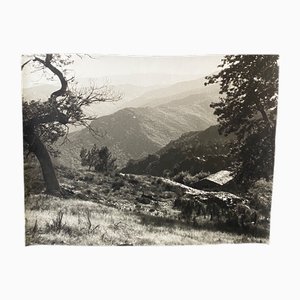 Bernard Darot, Petite Vallée, 20. Jh., Silbergelatineabzug