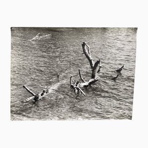 Bernard Darot, L'Eau, 20. Jh., Silbergelatineabzug