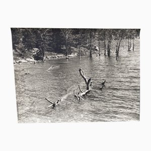 Bernard Darot, Rivière, XXe Siècle, Tirage Gélatino-Argent