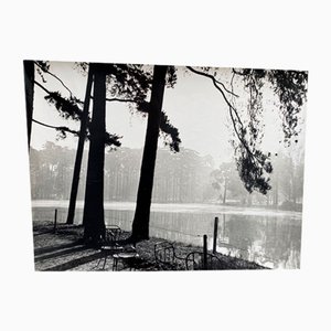 Bernard Darot, Eau le matin, 20th Century, Silver Gelatin Print
