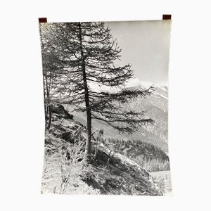 Bernard Darot, Paysage de montagne, siglo XX, Impresión en gelatina de plata