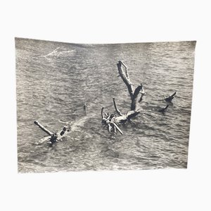 Bernard Darot, L'Eau, 20th Century, Silver Gelatin Print