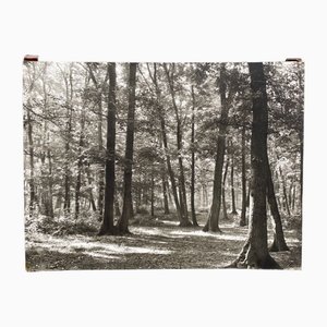 Bernard Darot, Club Nantais: AFIAP Sous-Bois, siglo XX, impresión en gelatina de plata