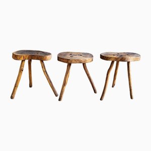 Brutalistische Hocker aus Eiche, 1950er, 3er Set