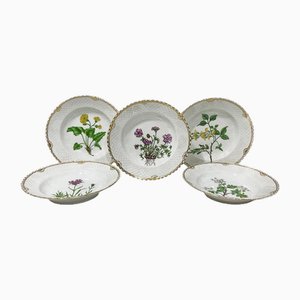 Platos para ensaladas Flora Danica de porcelana de Bing & Grøndahl, Dinamarca, 1928. Juego de 5