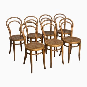 Sillas de comedor de principios del siglo XX de Josias Eissler & Sohne Wien, años 40. Juego de 7