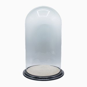 Cúpula de taxidermia inglesa victoriana antigua de vidrio, década de 1870