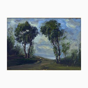 Antonio Asturi, Landscape in Sorrento, 1950s, Oil on Cardboard, Framed