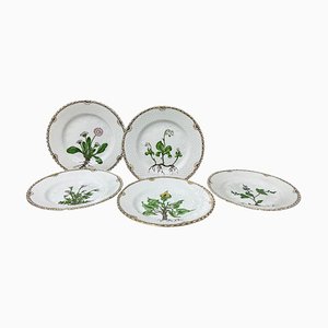 Flora Danica Brot- und Butterteller aus Porzellan von Bing & Grøndahl, Dänemark, 1927, 5er Set