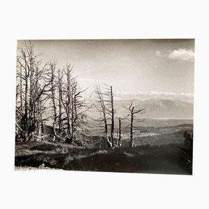 Bernard Darot, Paysage de montagne, XXe siècle, Tirage gélatino-argentique