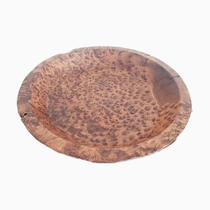 Large North African Wooden Thuya Burl Dough Bowl, 1970s