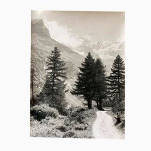Bernard Darot, Paysage de montagne, XXe siècle, Tirage gélatino-argentique