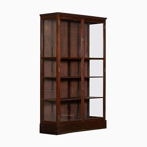 19th Century Irish Mahogany Display Cabinet, 1900s