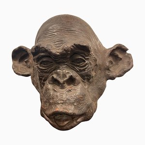 Bonobo Monkey Head Sculpture in Terracotta, 2019