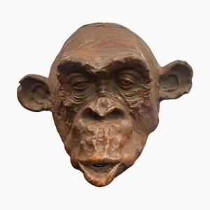 Angelo Zanella, Escultura de cabeza de mono Bonobo, 2018, terracota