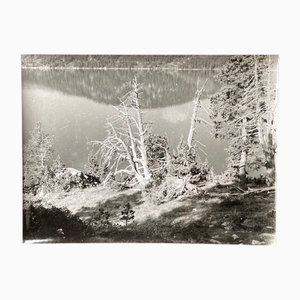 Bernard Darot, Arbre mort devant un lac No.2, Silver Gelatin Print, 20th Century