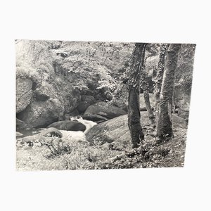 Bernard Darot, Petit Torrent, Silver Gelatin Print, 20th Century