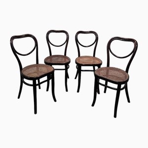 Chaises Mondus de Thonet, Set de 4