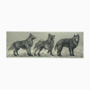 Pawel Zablocki, Belgian Sheep Dog II and III, Etching on Paper, 2024