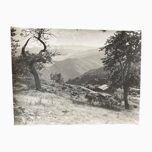 Bernard Darot, Bergerie Montagne, 20th Century, Silver Gelatin Print
