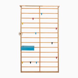 Large Birch Coat Rack with Colored Hooks by Coen De Vries, 1950s