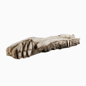 Scultura di due pesci in pietra di Zardo R., XX secolo