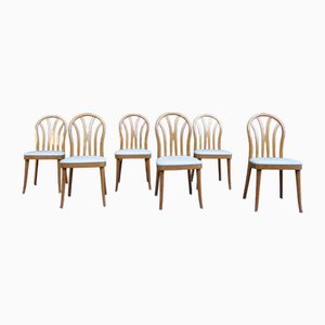 Vintage Chairs in Beech from a Cafe, 1950s, Set of 6
