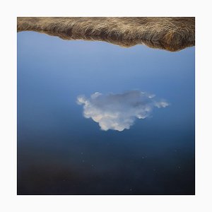 Maija Muizniece, My Little Cosmos, 2024, Oil on Canvas