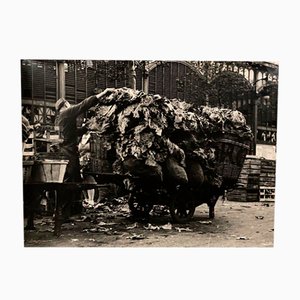 Bernard Darot, Cart of Cabbages, 20th Century, Silver Gelatin Print