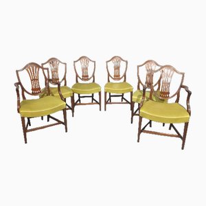Georgianische Esszimmerstühle aus Mahagoni, 6 . Set