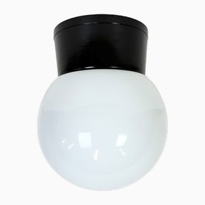 Vintage Brown Bakelite Wall or Ceiling Light with Milk Glass, 1960s