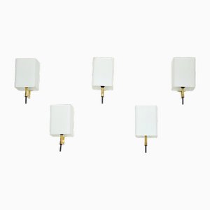 Apliques Mid-Century de Stilnovo, Italia, años 50. Juego de 5