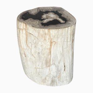 Side Table in Petrified Wood