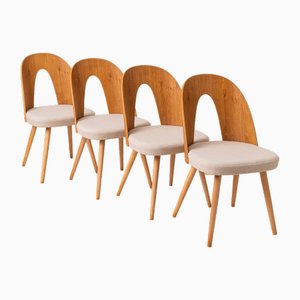 Mid-Century Dining Chairs attributed to A. Suman, 1960s, Set of 4