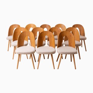 A. Suman zugeschriebene Mid-Century Esszimmerstühle, 1960er, 12 . Set